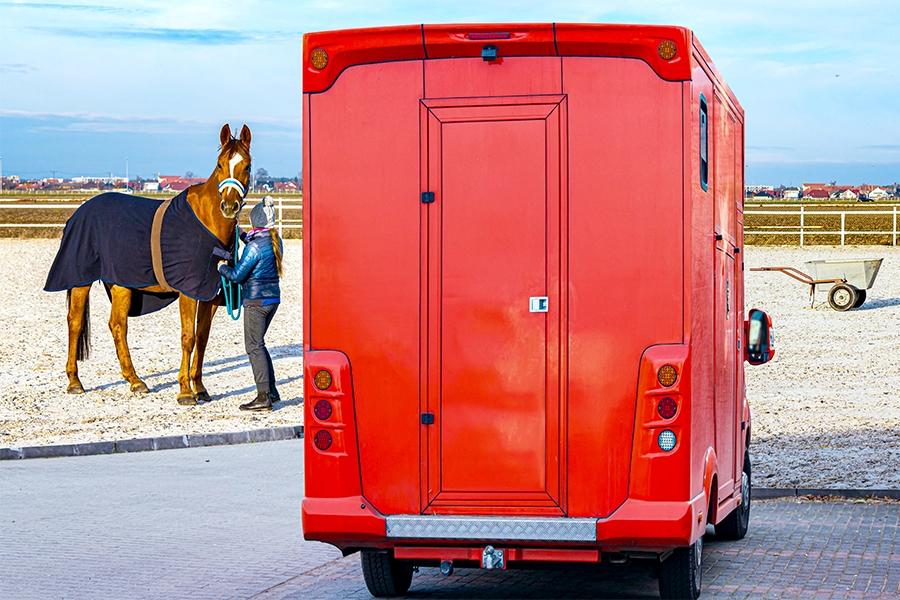 Horsebox Insurance - A Complete Guide