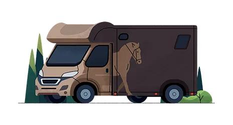Medium-sized 3.5 tonne horsebox